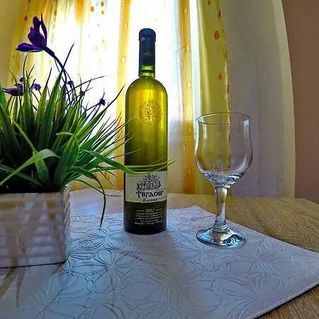 Kosjerina Apartment