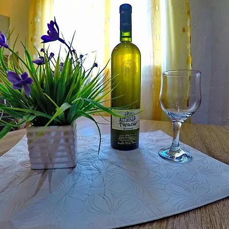 Kosjerina Apartment