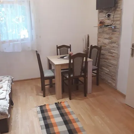 Apartment Kosjerina *