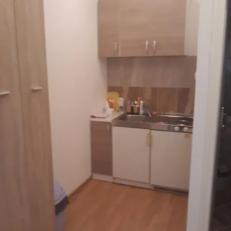 Kosjerina Appartement *