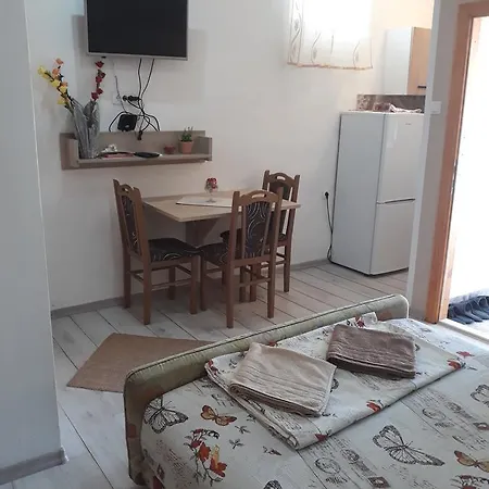 Apartment Kosjerina *
